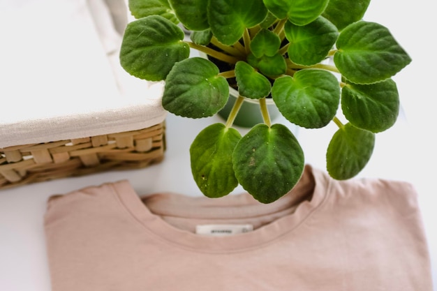 Maglietta riutilizzabile lavata su stanza domestica con secchio naturale e pianta domestica verde