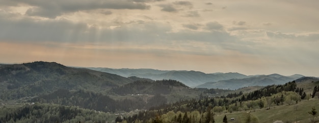 Magnifica vista panoramica sulla foresta di conifere sulle possenti montagne dei Carpazi e sullo sfondo del bellissimo cielo blu. Bellezza della natura ucraina vergine selvaggia. serenità