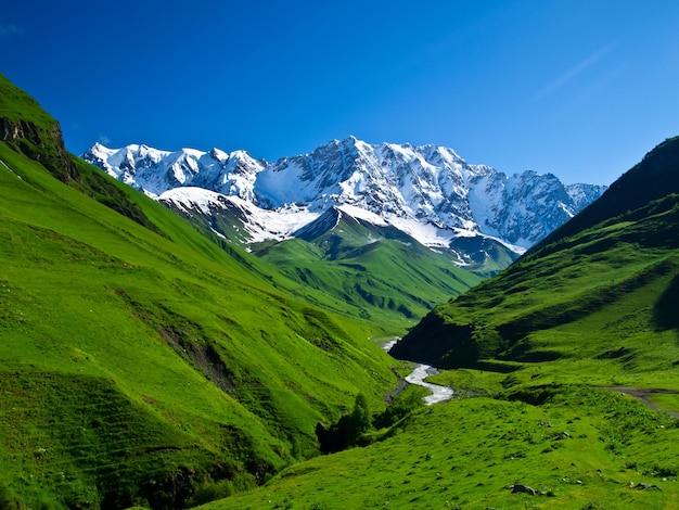 Magnifica vista sulla verde valle della montagna Georgia