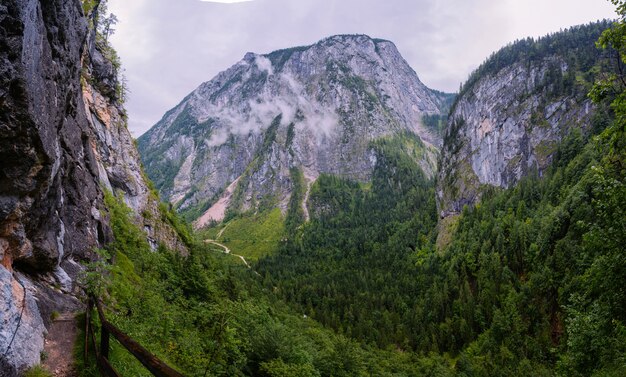 Magnifica vista sulle Alpi