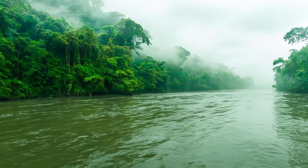 magnifico fiume delle Amazzoni con nebbia con nebbia