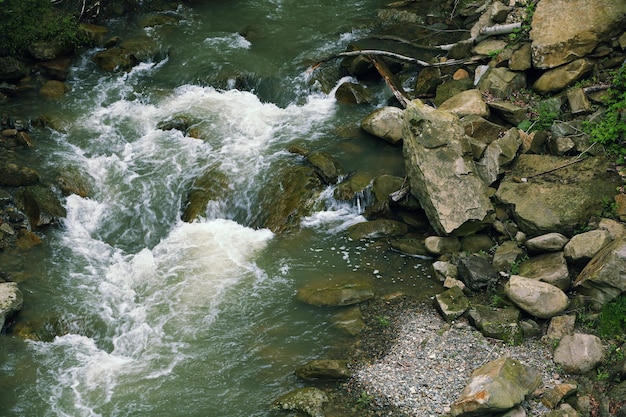 Magnifico fiume di montagna da vicino