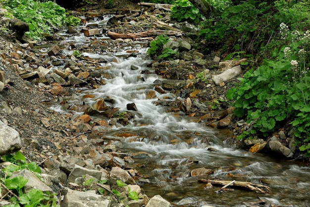 Magnifico fiume di montagna da vicino