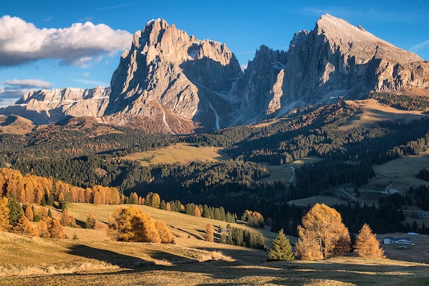 Magnifico scenario nelle Dolomiti. Luci e nuvole del sole. Larici verdi e gialli. Autunno nell'Alpe di Siusi. Italia. Europa