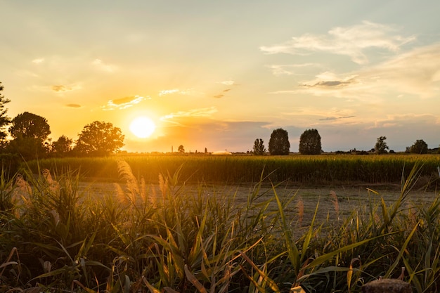 Magnifico tramonto sui campi