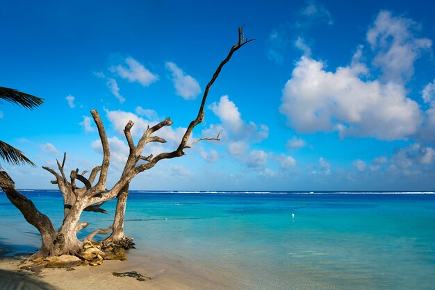 Mahahual spiaggia caraibica in Costa Maya