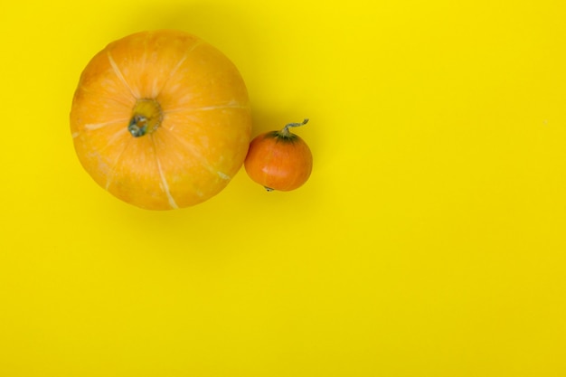 Maiale e piccole zucche arancioni su sfondo di carta gialla