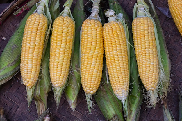 Mais dolce fresco biologico in vendita in un mercato agricolo locale