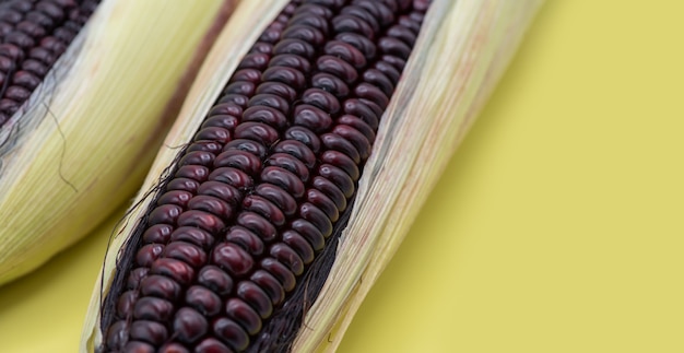 Mais nero dolce crudo sul piatto con lo spazio della copia.