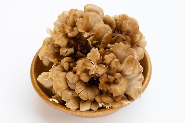 Maitake Grifola frondose fungo su sfondo bianco