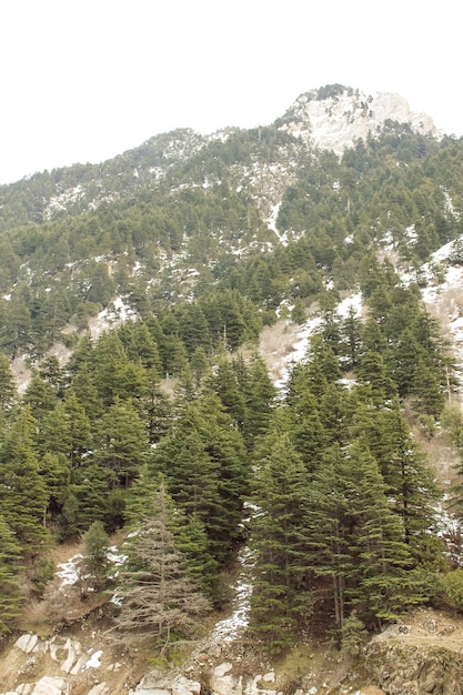 Malam Jabba e Kalam Swat Scenery Landscape