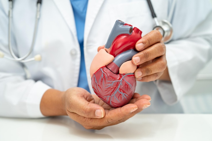 Foto malattie cardiovascolari cvd dottore asiatico con un modello di anatomia umana per imparare e trattare le malattie cardiache