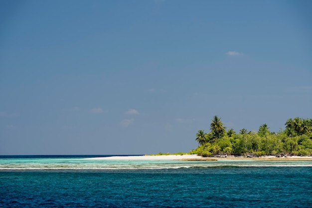 Maldive paradiso tropicale spiaggia acqua cristallina albero di cocco isola