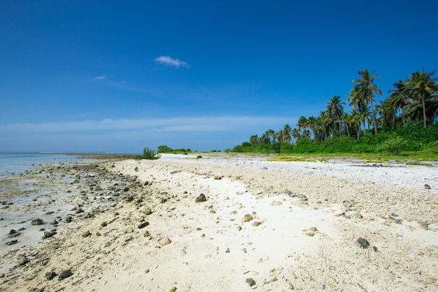 Maldive spiaggia