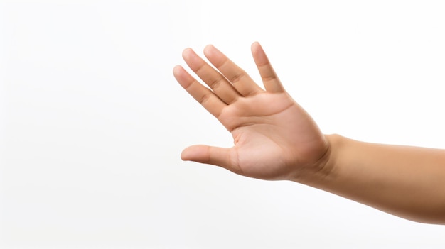 Male asian hand gestures isolated over the white background
