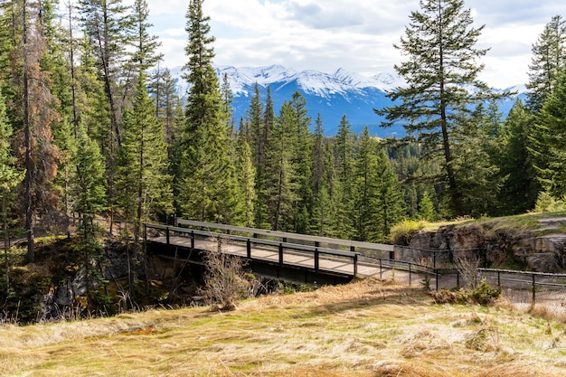 Maligne Canyon secondo ponte Jasper National Park Alberta Canada