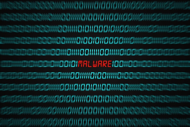 Malware in codice binario