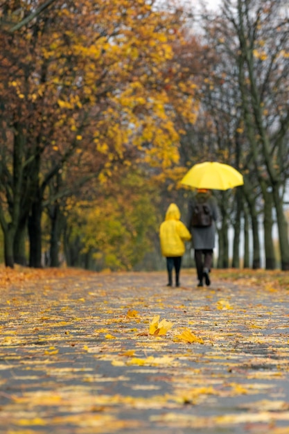 Mamma e bambino stanno camminando lungo il vicolo del parco autunnale sotto l'ombrello giallo Vista posteriore Cornice verticale
