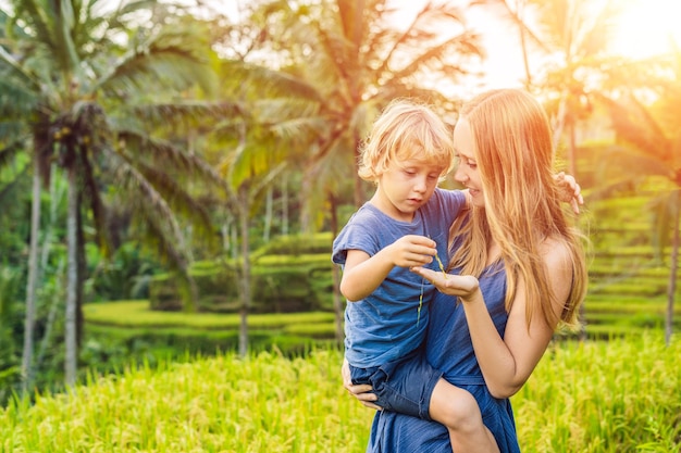 Mamma e figlio sul campo di riso sullo sfondo di terrazze di riso, Ubud, Bali, Indonesia. Viaggiare con il concetto di bambini. Insegnare ai bambini in pratica. con la luce del sole