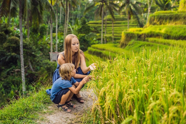 Mamma e figlio sul campo di riso sullo sfondo di terrazze di riso, Ubud, Bali, Indonesia. Viaggiare con il concetto di bambini. Insegnare ai bambini in pratica