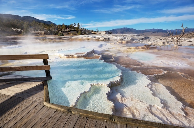 Mammoth Hot Springs a Yellowstone NP, USA