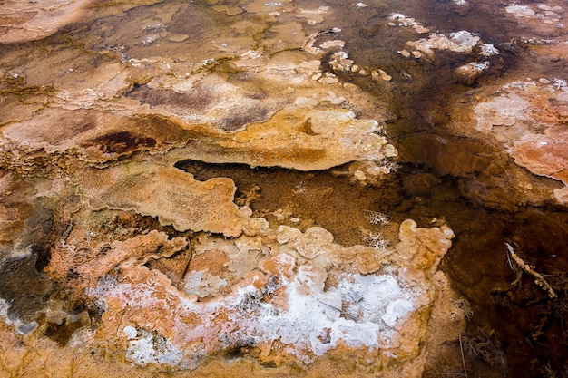 Mammoth Hot Springs