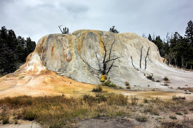 Mammoth Hot Springs