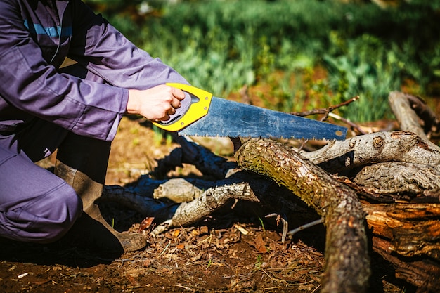 Man sawing wood for campfire nella foresta.