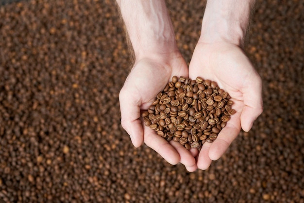 Manciata di caffè appena tostato