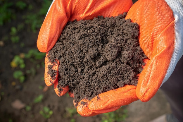 Manciata di terra fertile marrone nelle mani dell'agricoltore