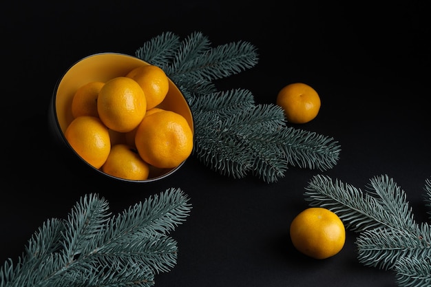 Mandarini con un rametto di abete su fondo scuro