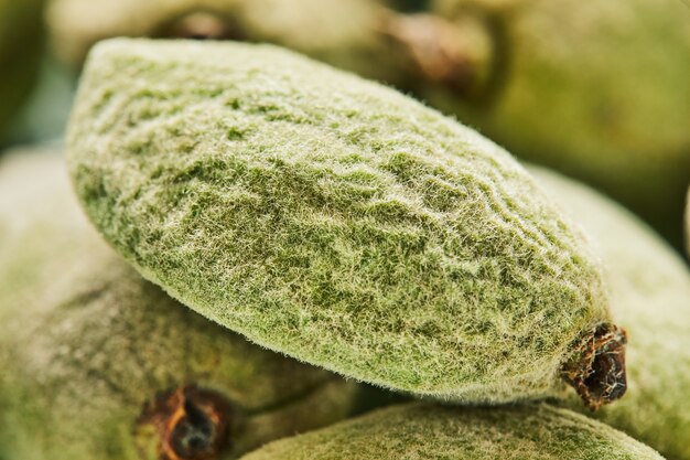 Mandorle fresche appena raccolte dall'albero nel piatto prima della cottura