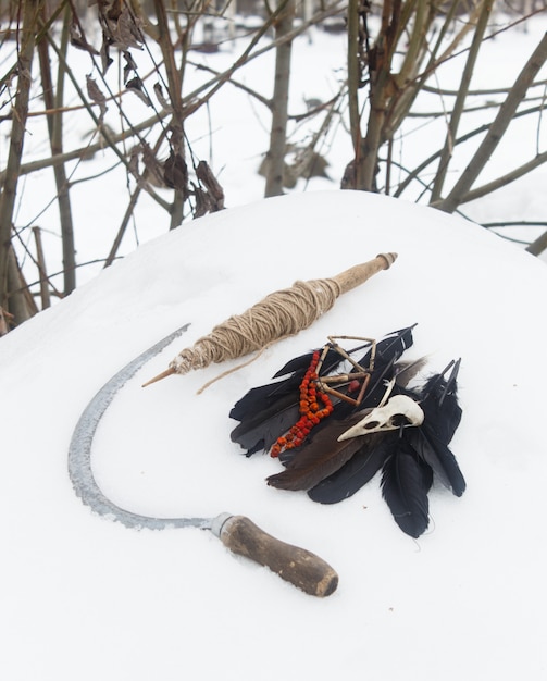 Mandrino, piume di corvo, perline di sorbo a forma di uccello e falce nella neve.