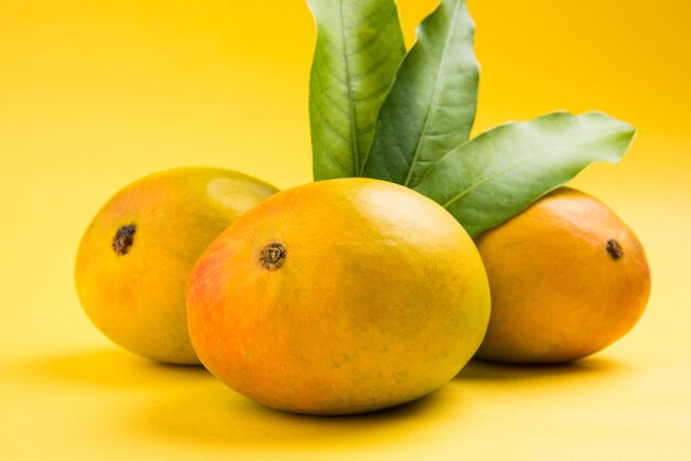 Mangga Alphonso atau Hapoos Aam adalah buah musiman dan berair dari India yang terkenal karena rasa manis, kekayaan, dan aromanya. Di atas latar belakang penuh warna. Fokus selektif