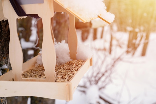 Mangiatoia in legno per uccelli selvatici della foresta con cibo appeso all'albero coperto di neve fresca congelata e fiocchi di neve in una gelida giornata invernale nella foresta o in giardino per la cura degli animali stagione invernale nevosa nel chiarore della natura