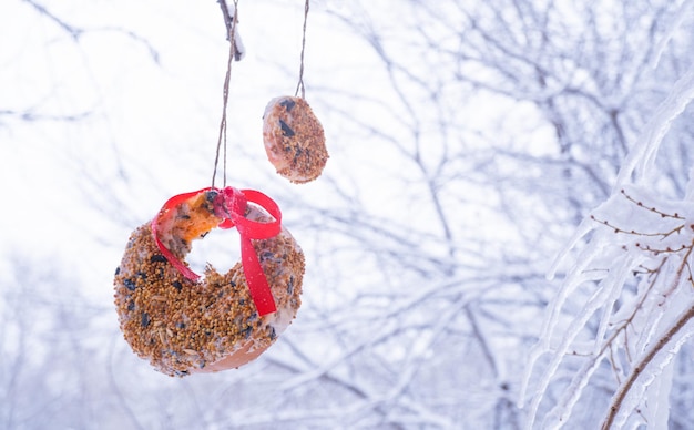 Mangiatoia per uccelli fatta in casa in inverno da semi su mele e zucche