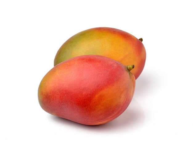 Mango isolato su spazio bianco