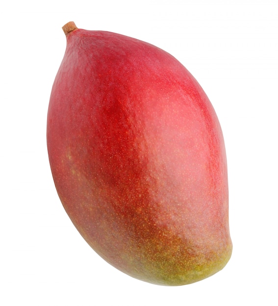 Mango, isolato.