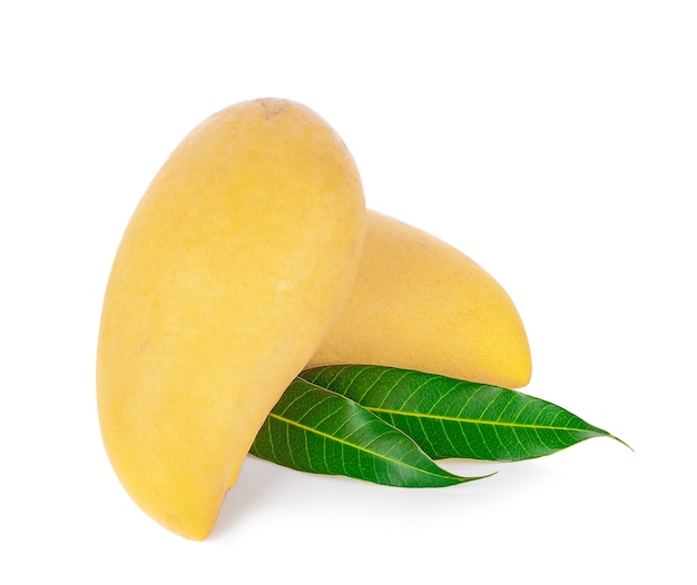 Mango su sfondo bianco