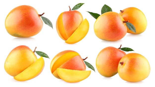 Mango