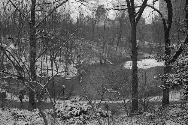 Manhattan NY USA 31 gennaio 2017 Nevica molto a Central Park