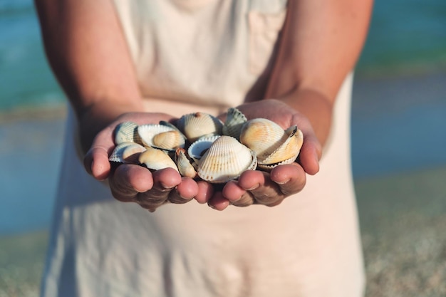 Mani che tengono conchiglie di mare conchiglie nelle mani