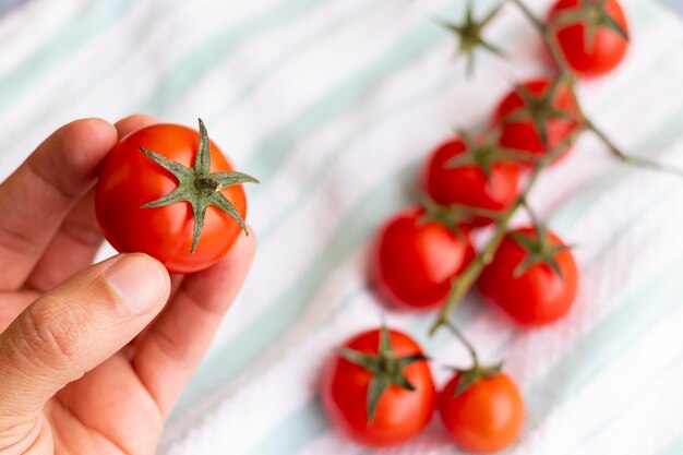 Mani che tengono i pomodori ciliegia