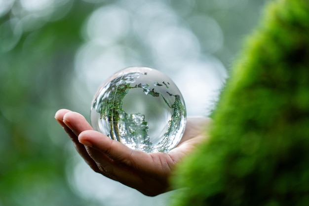 Mani che tengono il globo di vetro in foresta verde concetto di conservazione della foresta ambiente elementi del concetto di questa immagine forniti dalla NASA