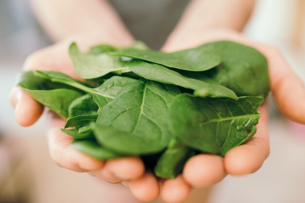 Mani che tengono le foglie di insalata verde fresca di spinaci