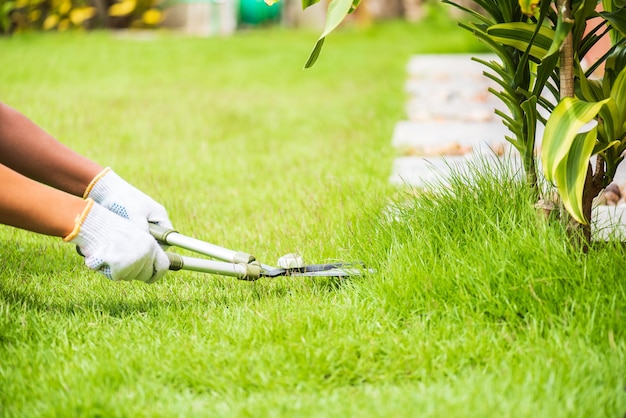 Mani che tengono le forbici giardinaggio su erba verde. Concetto di giardinaggio