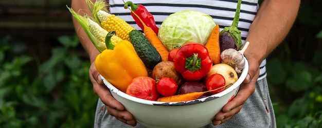 Mani che tengono un piatto grande con diverse verdure fresche di fattoria Raccolto autunnale e concetto di cibo biologico sano