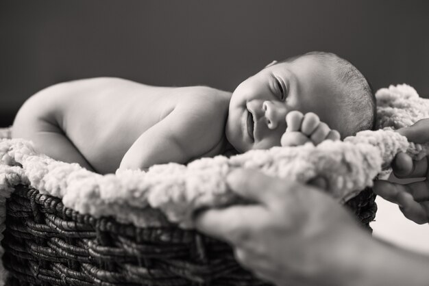 Mani che tengono un piccolo bambino appena nato sveglio sdraiato a pancia in giù. Il concetto di belle fotografie monocromatiche come ricordo