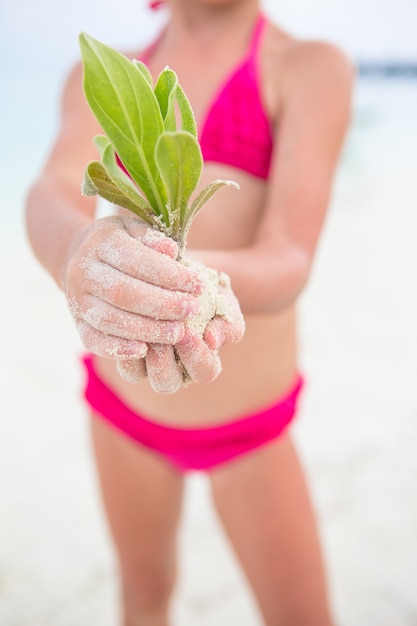 Mani dei bambini che tengono alberello verde