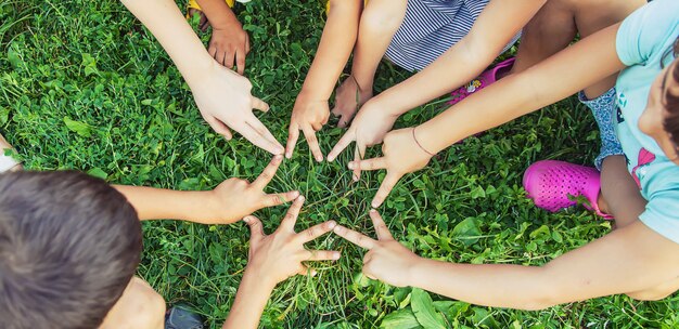 Mani dei bambini insieme sull'erba